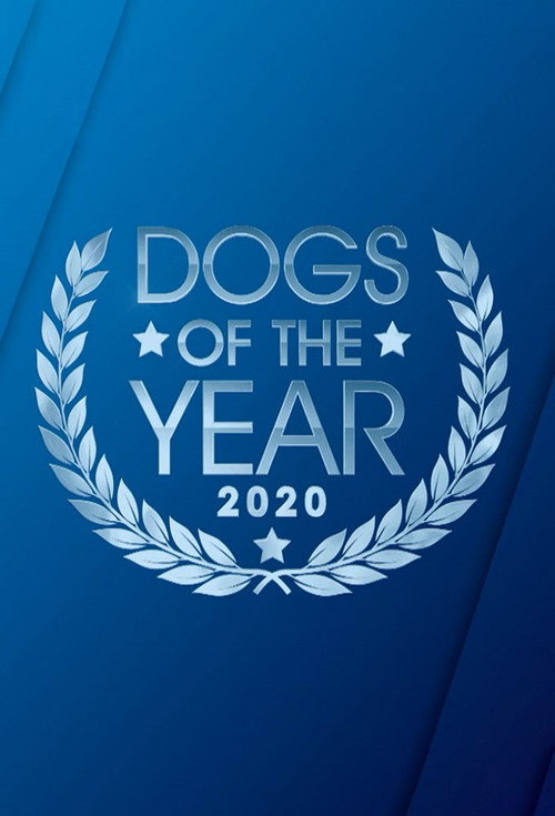 Dogs of the Year (2019) TV show poster