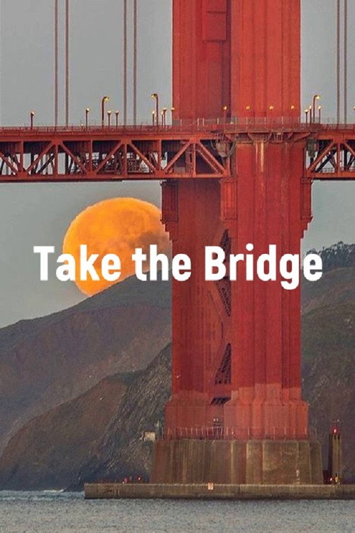 Take The Bridge (2008) movie poster