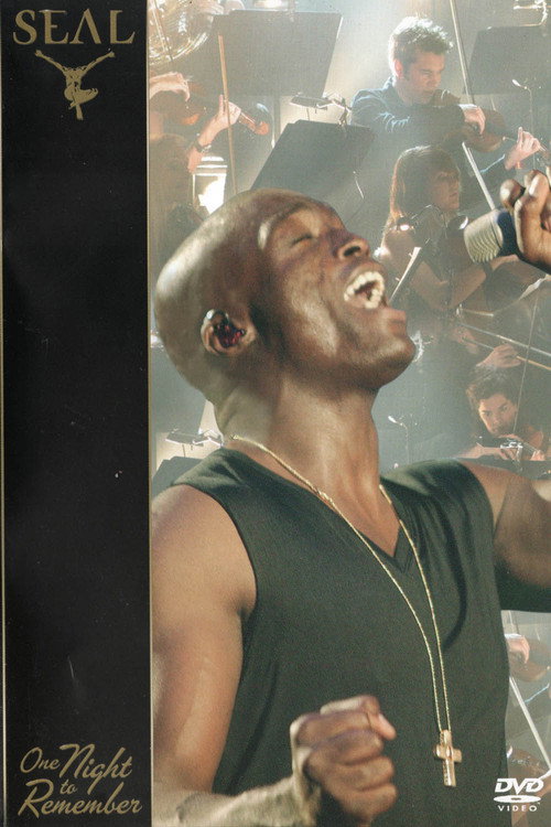 Seal: One Night To Remember (2006) movie poster