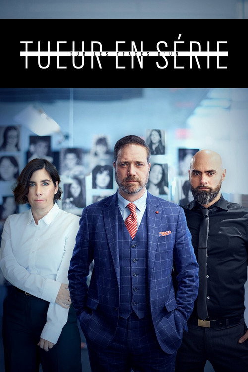 Sur les traces d'un tueur en série (2020) TV show poster