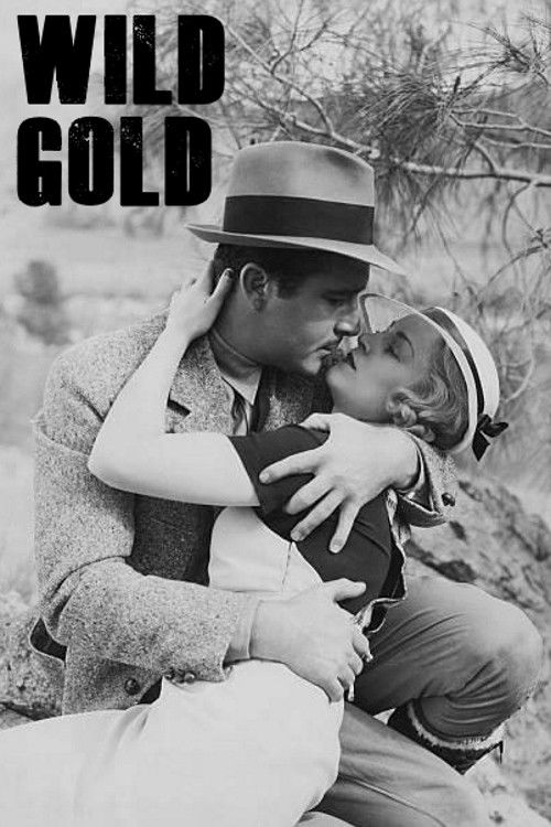 Wild Gold (1934) movie poster