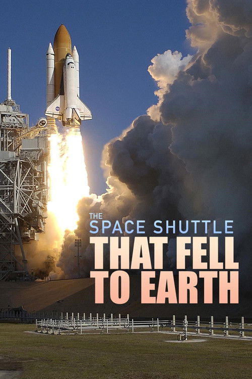The Space Shuttle That Fell to Earth (2024) TV show poster