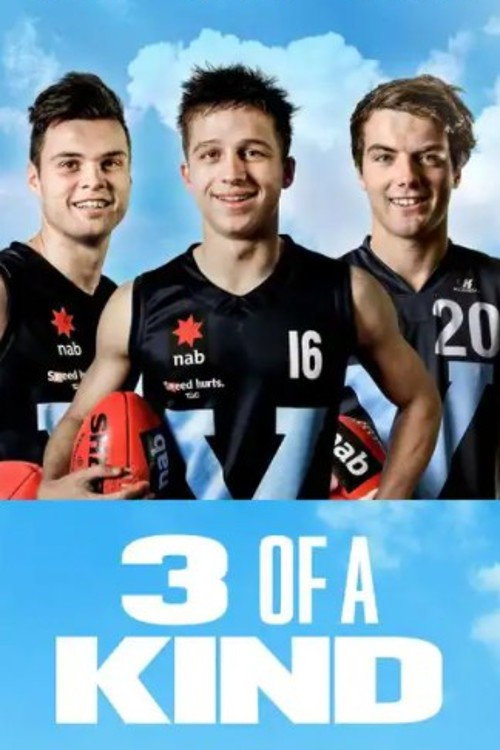 3 of a Kind (2014) movie poster