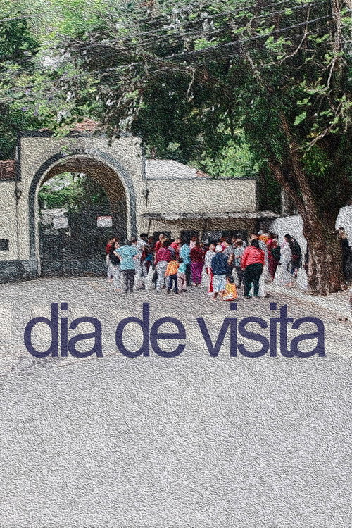 Dia de Visita movie poster