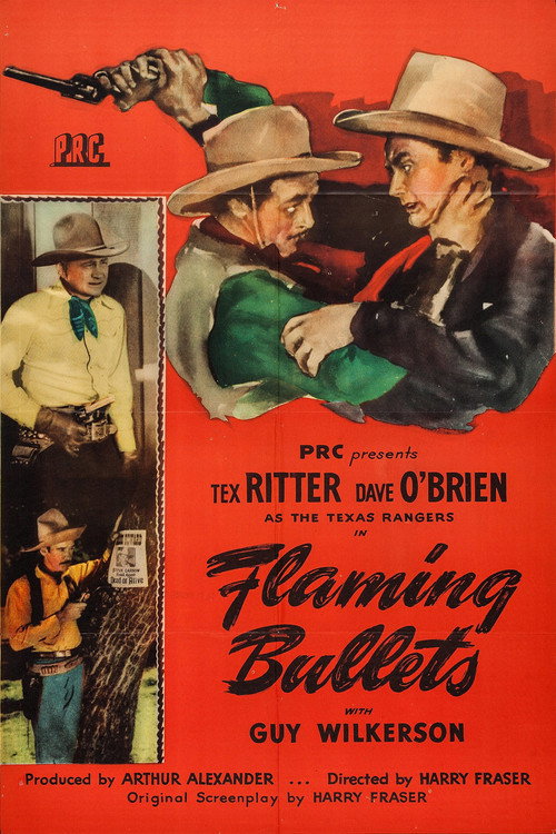 Flaming Bullets (1945) movie poster