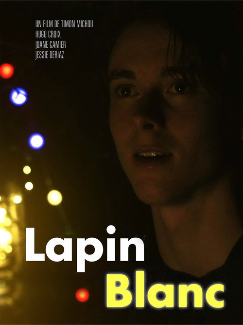 Lapin Blanc (2025) movie poster
