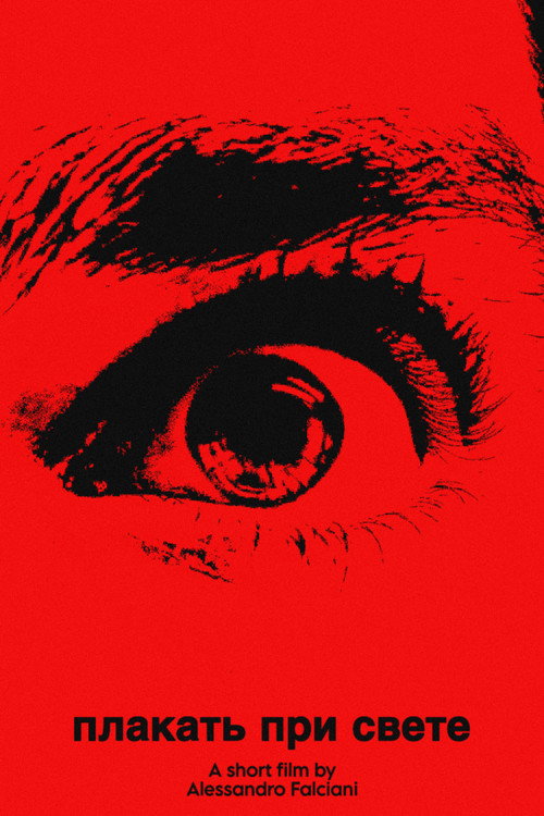 плакать при свете (cry in the light) (2024) movie poster