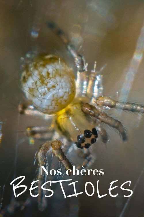 Nos chères bestioles (2023) TV show poster