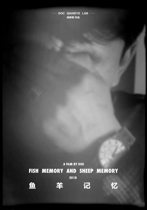Fish Memory and Sheep Memory (2019) movie poster