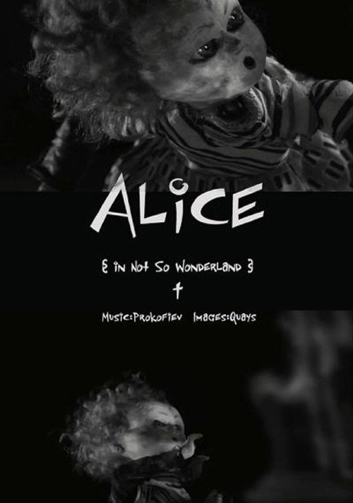 Alice in Not So Wonderland (2007) movie poster