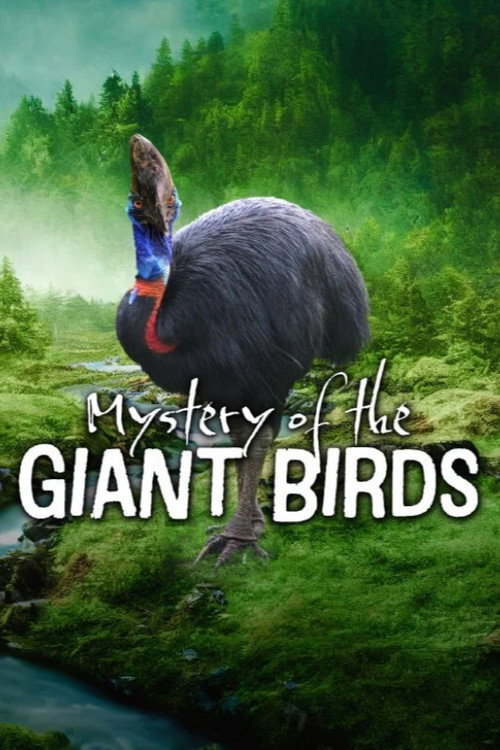 Mystery of the Giant Birds (2025) movie poster