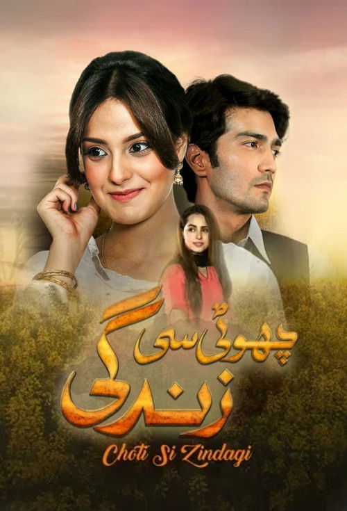 Choti Si Zindagi (2016) TV show poster