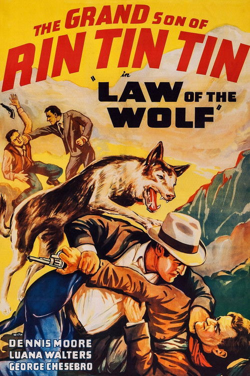 Law of the Wolf (1939) movie poster