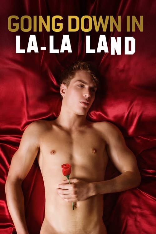 Going Down in La-La Land (2011) movie poster
