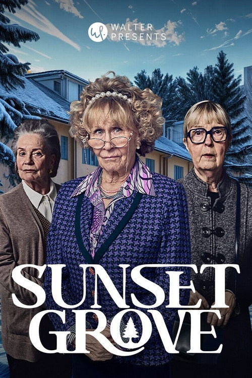 Sunset Grove (2025) TV show poster