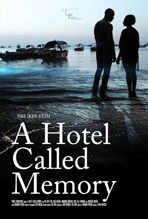 A Hotel Called Memory (2017) movie poster