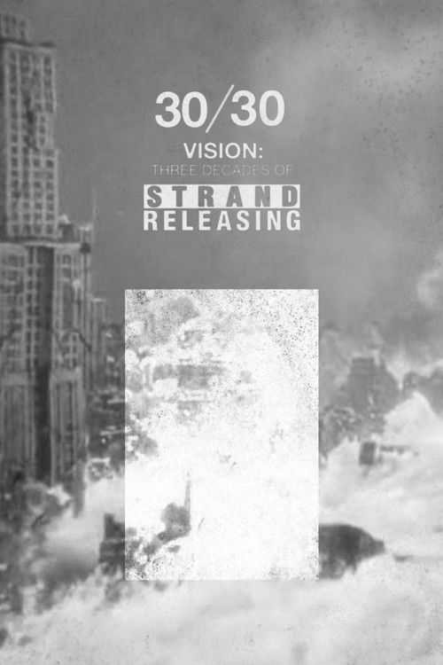 30/30 Vision: Three Decades of Strand Releasing (2019) movie poster