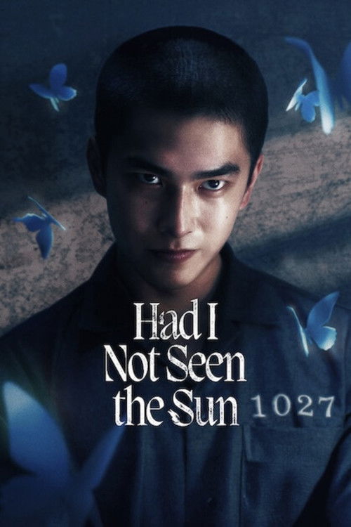 Had I Not Seen the Sun (2025) TV show poster