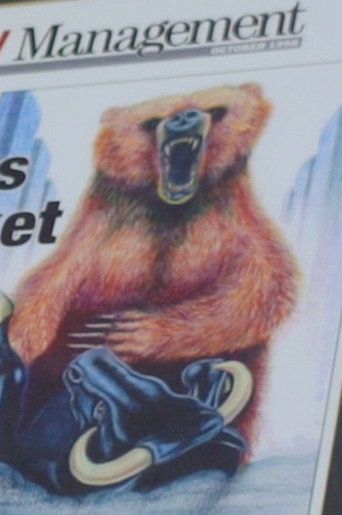 Bear Overtakes Bull Market (2024) movie poster