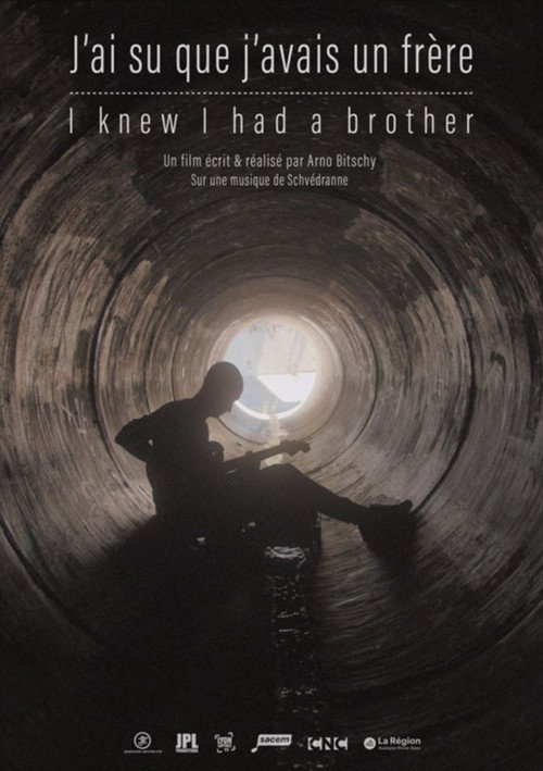 I Knew I had a Brother (2025) movie poster