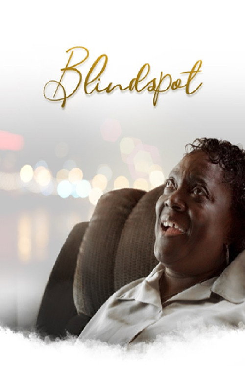 Blindspot (2020) movie poster