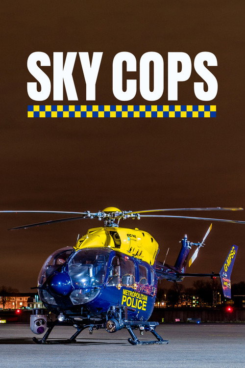 Sky Cops TV show poster