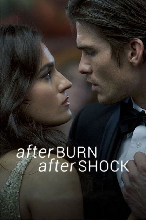 Afterburn/Aftershock (2017) movie poster