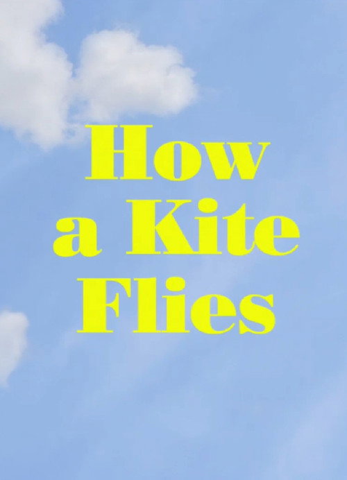 How a Kite Flies (2017) movie poster
