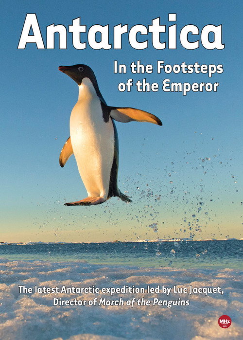 Antarctica, in the footsteps of the Emperor (2016) movie poster