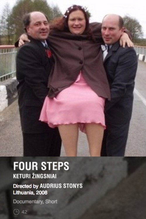 Four Steps (2009) movie poster