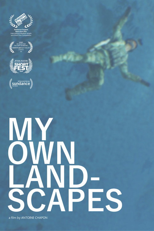 My Own Landscapes (2024) movie poster