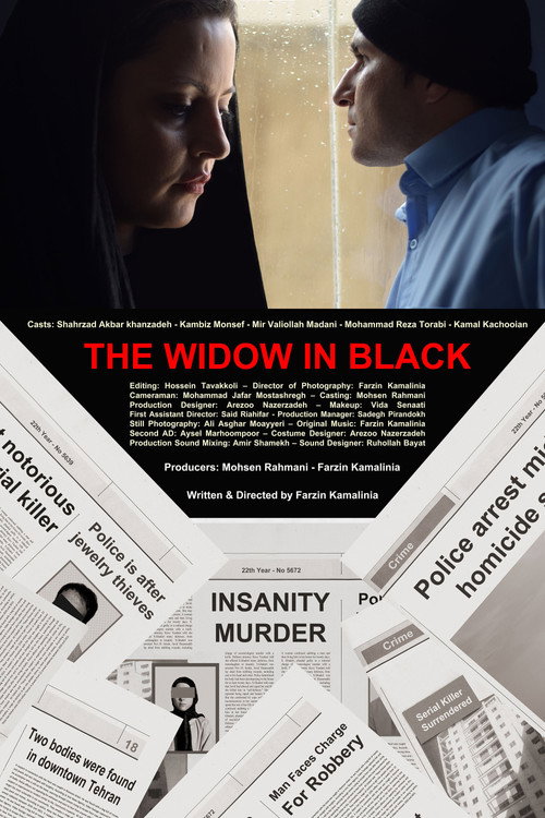 The Widow in Black (2017) movie poster