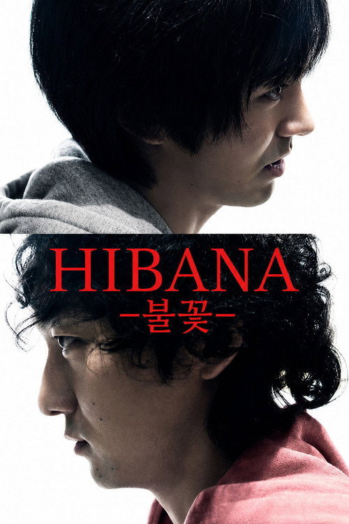 Hibana: Spark (2016) TV show poster