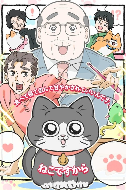 Cat Uncle: The Guy That Got Reincarnated As a Cat (2024) TV show poster