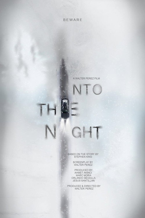 Into the Night (2020) movie poster