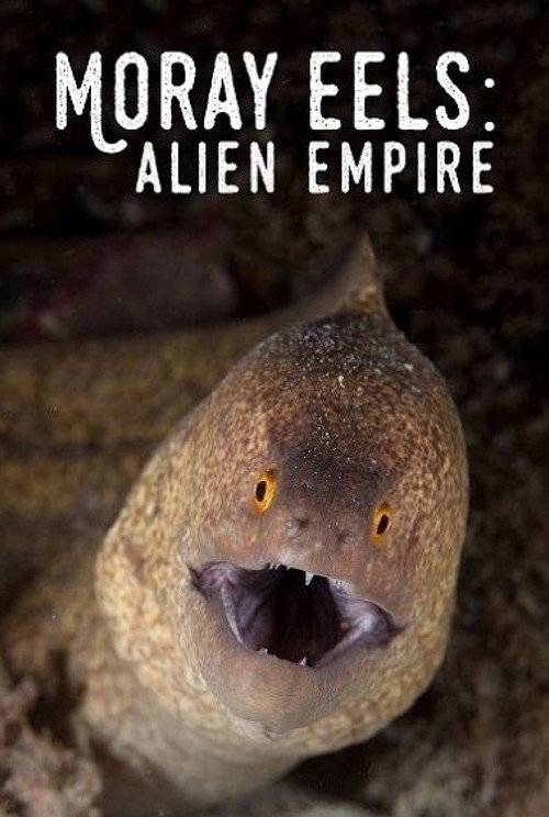 Moray Eels: Alien Empire (2008) movie poster