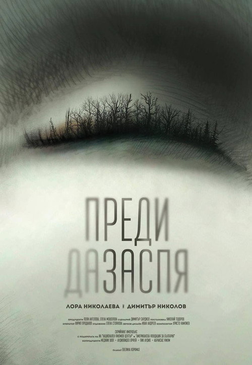 Before I Go to Sleep (2016) movie poster