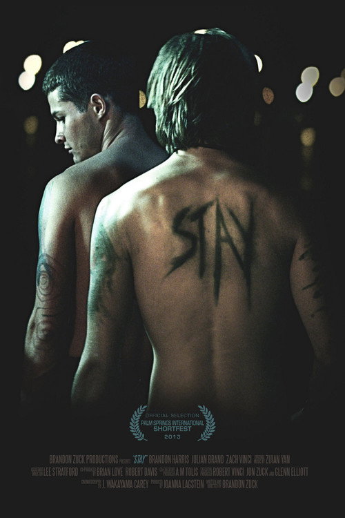 Stay (2013) movie poster
