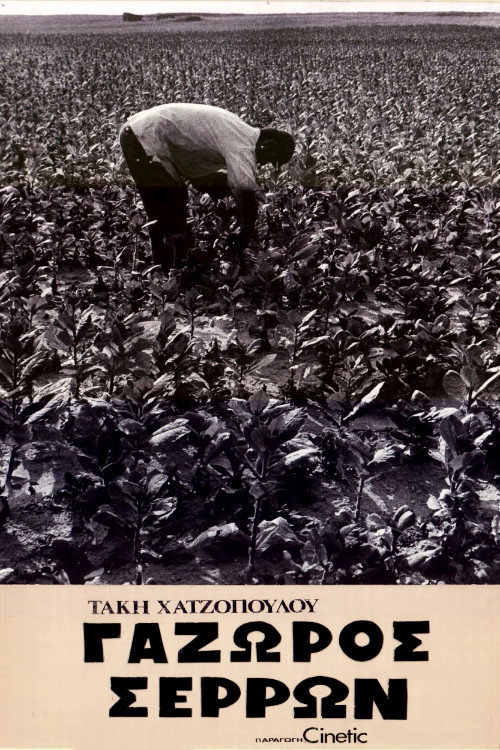 Gazoros Serron (1974) movie poster
