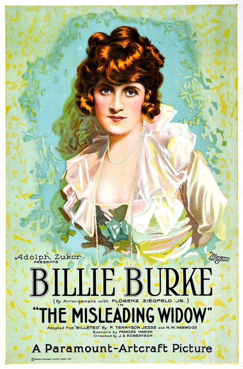 The Misleading Widow (1919) movie poster
