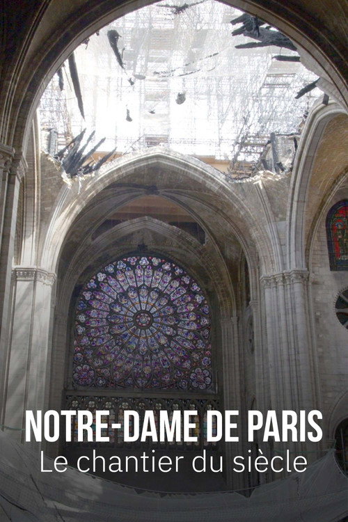 Notre-Dame de Paris, le chantier du siècle (2023) TV show poster