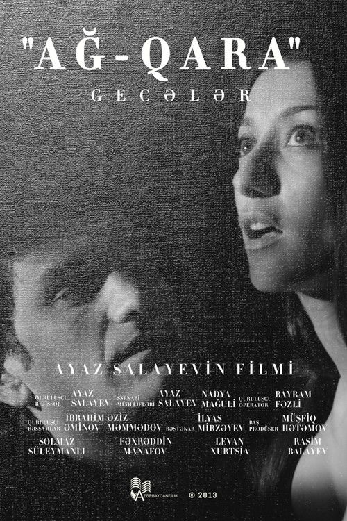 Black & White Nights (2013) movie poster