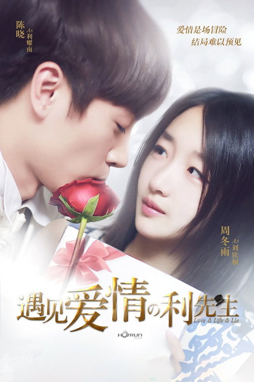 Love & Life & Lie (2017) TV show poster