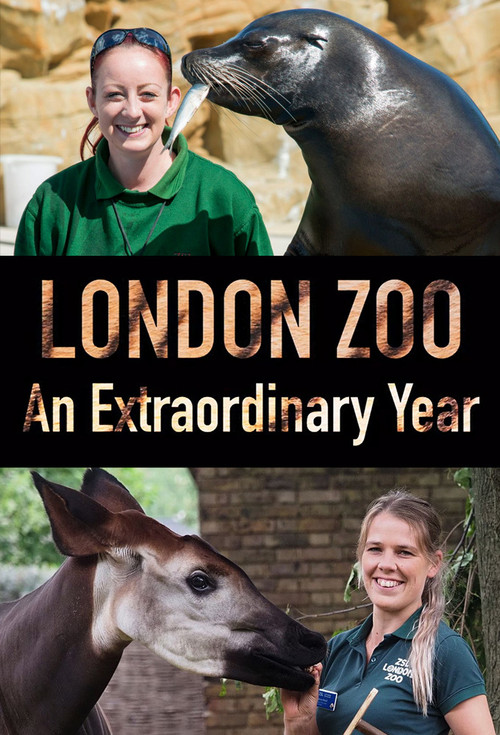 London Zoo: An Extraordinary Year (2020) TV show poster