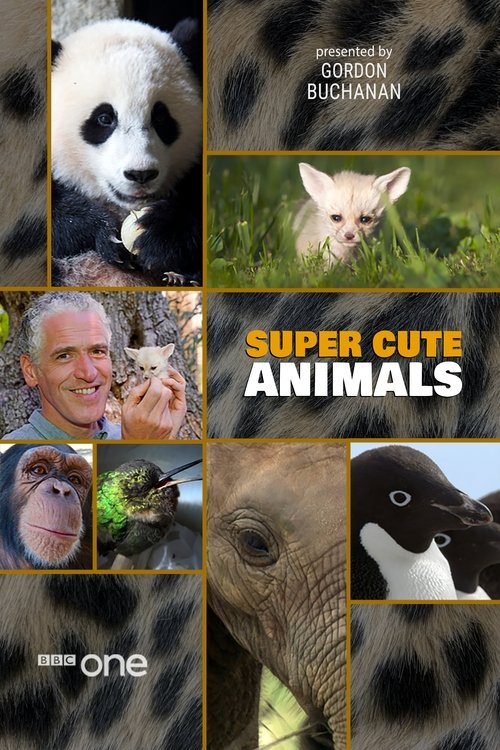 Super Cute Animals (2015) movie poster