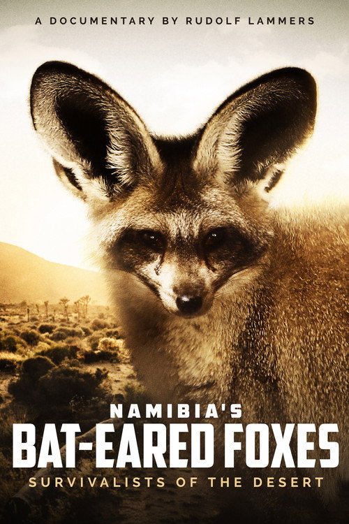 Namibia's Bat-eared Foxes: Survivalists of the Desert (2007) movie poster