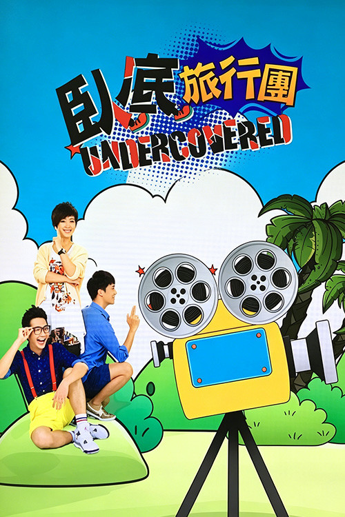 The Undercover Tour (2014) TV show poster