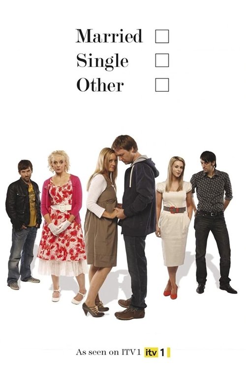 Married Single Other (2010) TV show poster