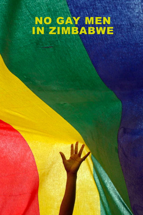 No Gay Men in Zimbabwe (2021) movie poster