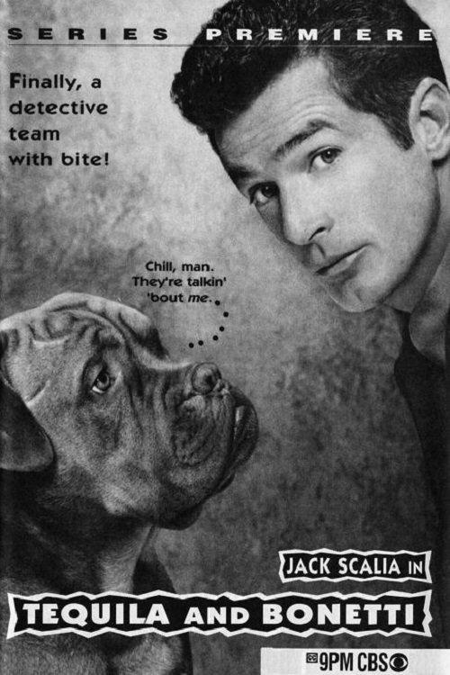 Tequila and Bonetti (1992) TV show poster